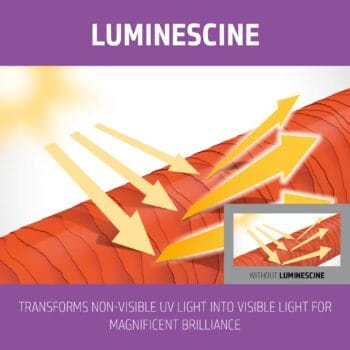 Goldwell Dualsenses Blondes & Highlights Anti-Yellow Shampoo 1000ml Halo Hair & Skin - rosehipskincare.com.au